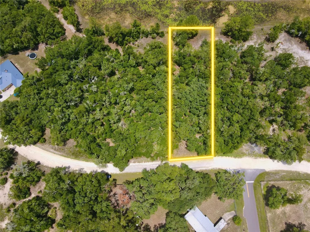 34237 SHAFFER DRIVE Dade City, FL 33523