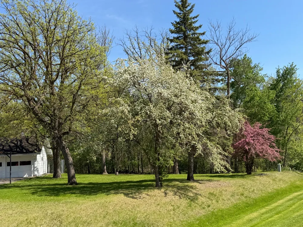 814 11th Avenue SE Roseau, MN 56751