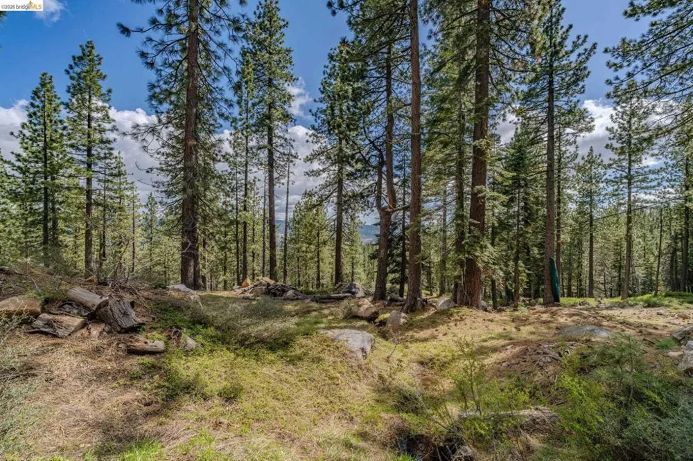 1361 Summit View Rd Arnold, CA 95223
