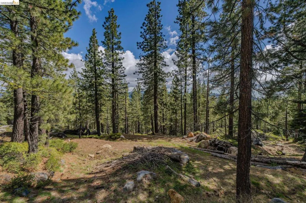 1361 Summit View Rd Arnold, CA 95223