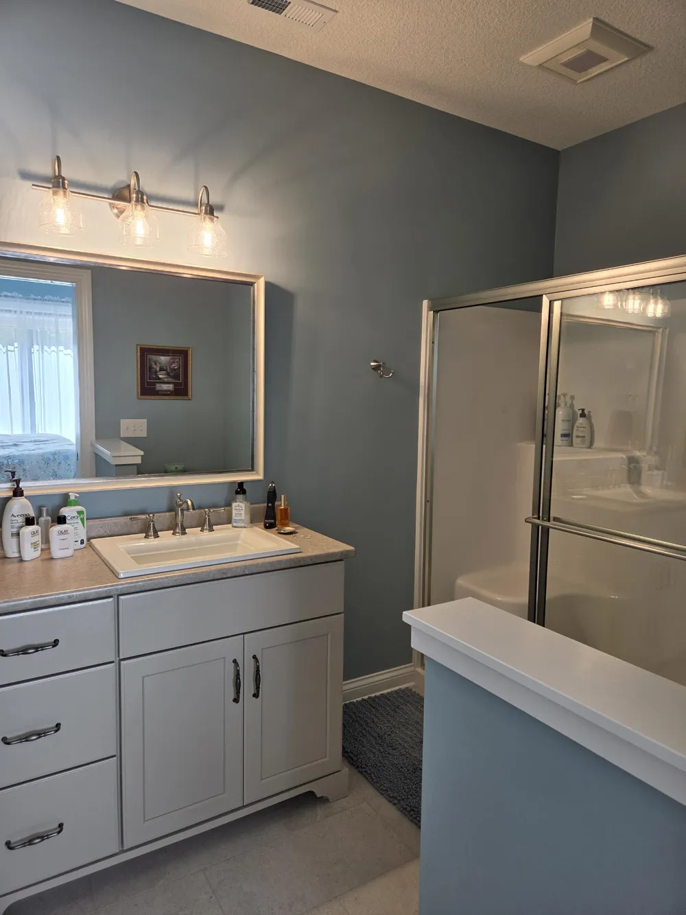 1012 Bayview Drive Kinderhook Township, MI 49036