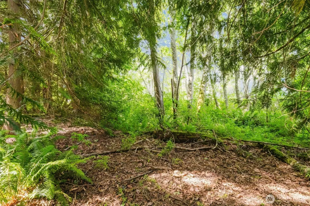 38743 Tinker Place NE Hansville, WA 98340
