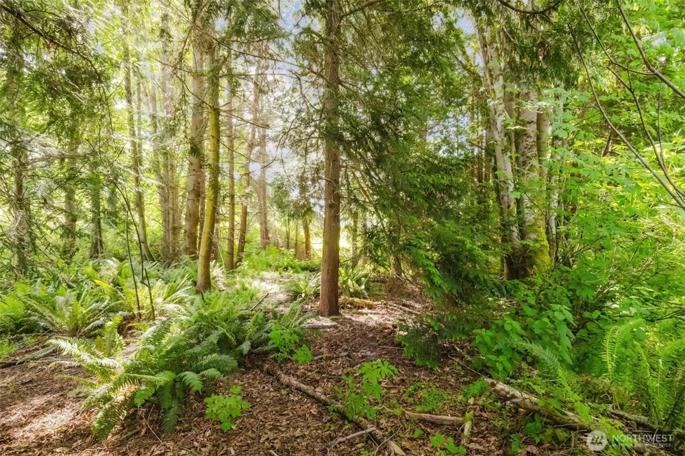 38743 Tinker Place NE Hansville, WA 98340