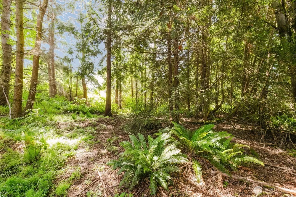 38743 Tinker Place NE Hansville, WA 98340