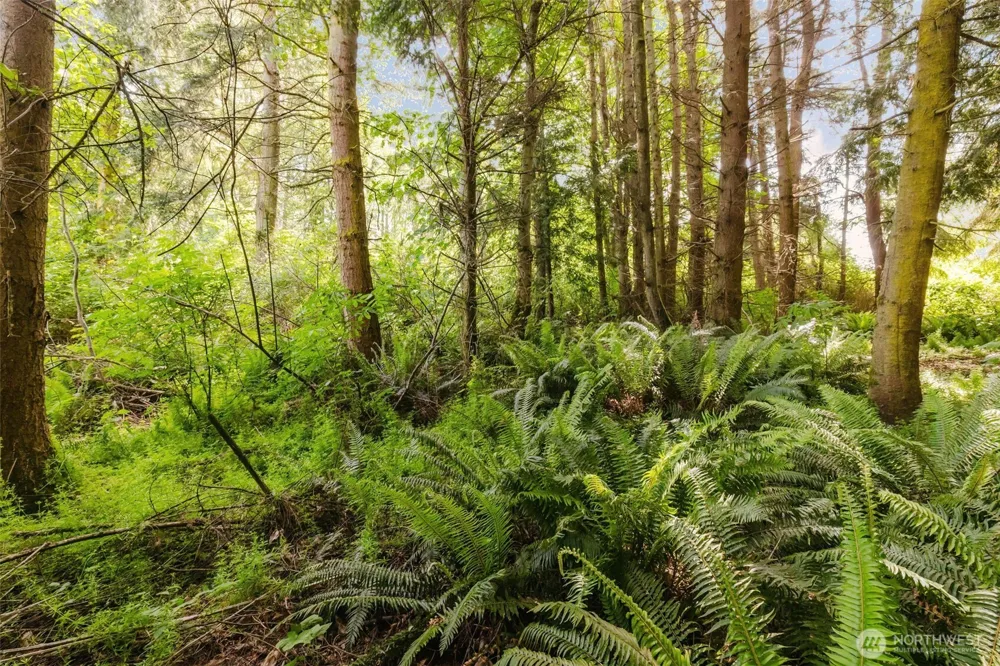 38743 Tinker Place NE Hansville, WA 98340