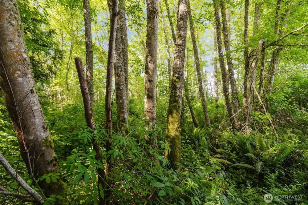 38743 Tinker Place NE Hansville, WA 98340