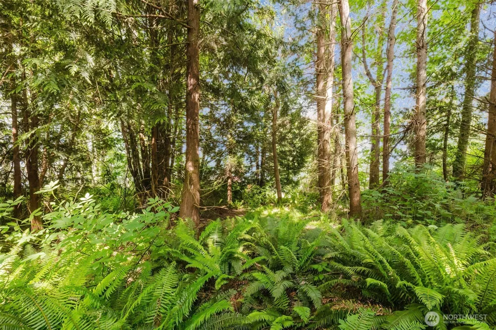 38743 Tinker Place NE Hansville, WA 98340