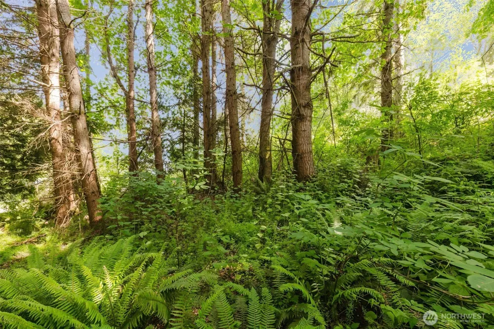 38743 Tinker Place NE Hansville, WA 98340