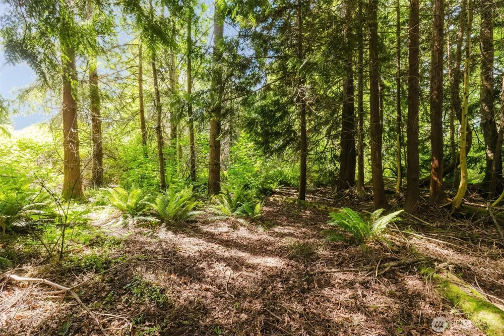 38743 Tinker Place NE Hansville, WA 98340