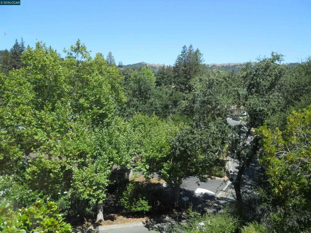3690 Sundale Lafayette, CA 94549