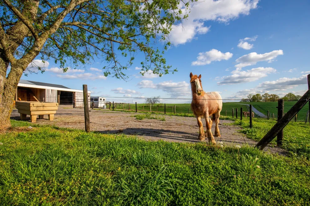 501 Burnt Hill Rd Unionville, TN 37180