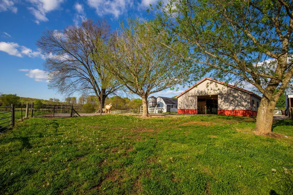 501 Burnt Hill Rd Unionville, TN 37180