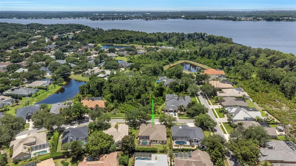 3675 JANUS WAY Palm Harbor, FL 34685