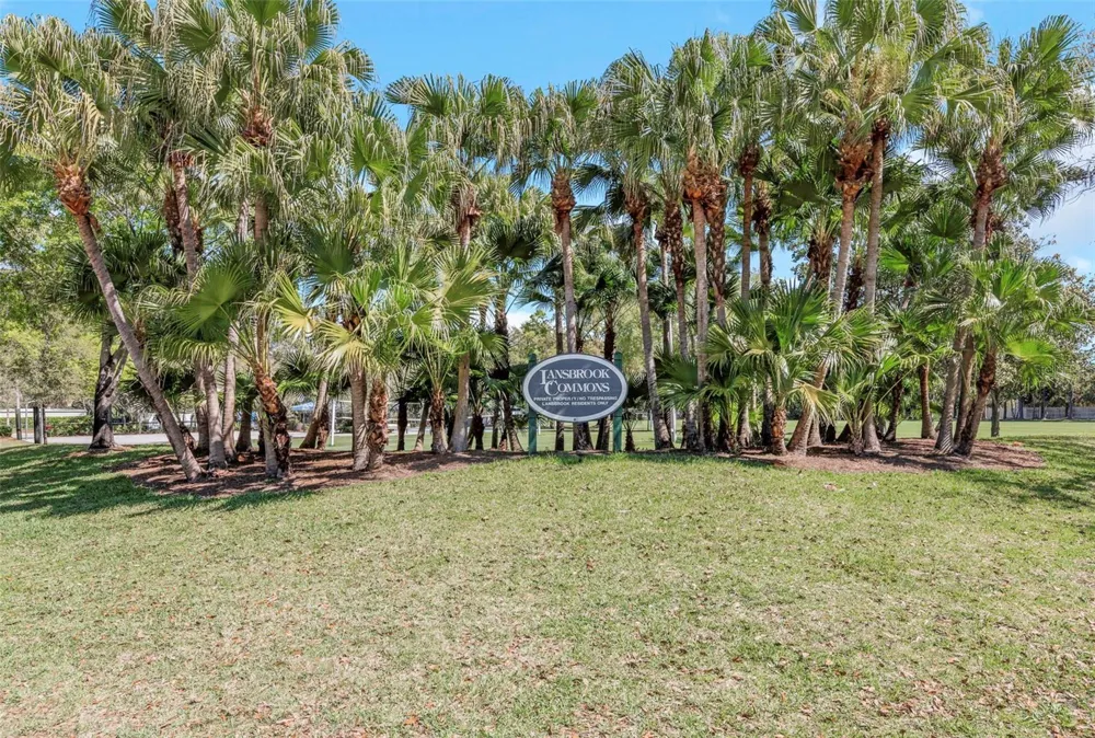 3675 JANUS WAY Palm Harbor, FL 34685