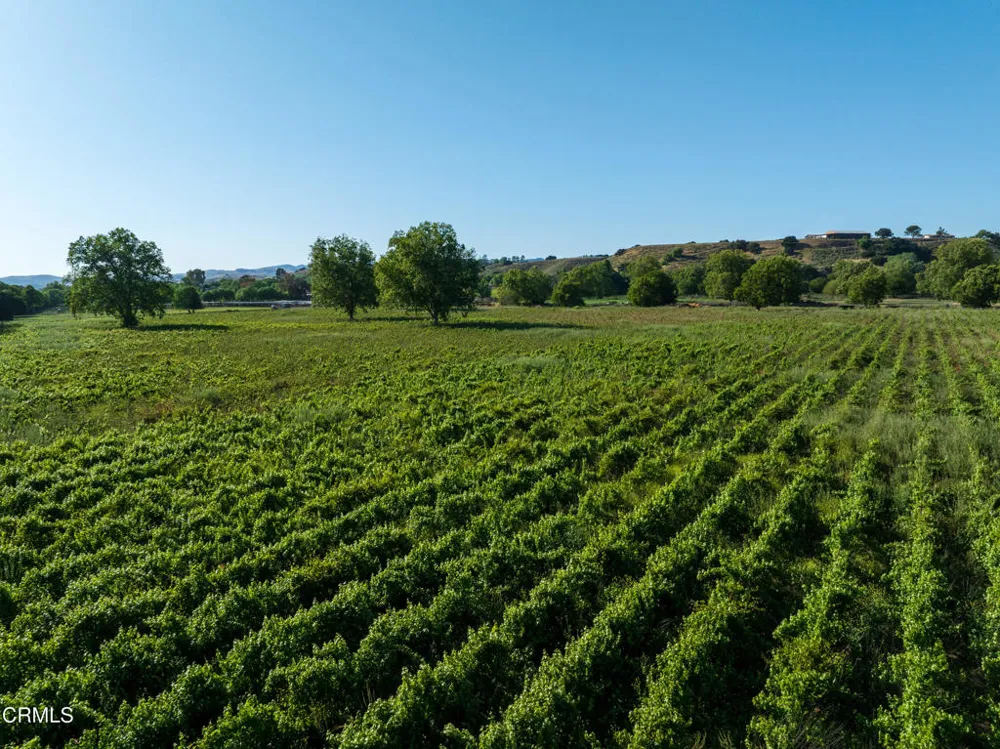 801 E Highway 246 Solvang, CA 93463