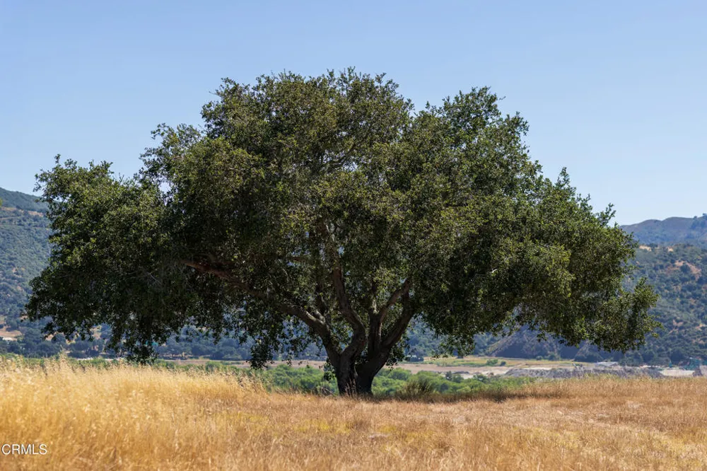 801 E Highway 246 Solvang, CA 93463