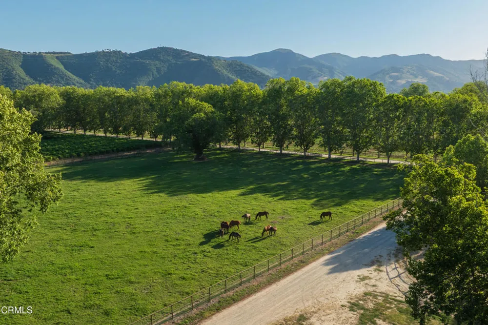 801 E Highway 246 Solvang, CA 93463