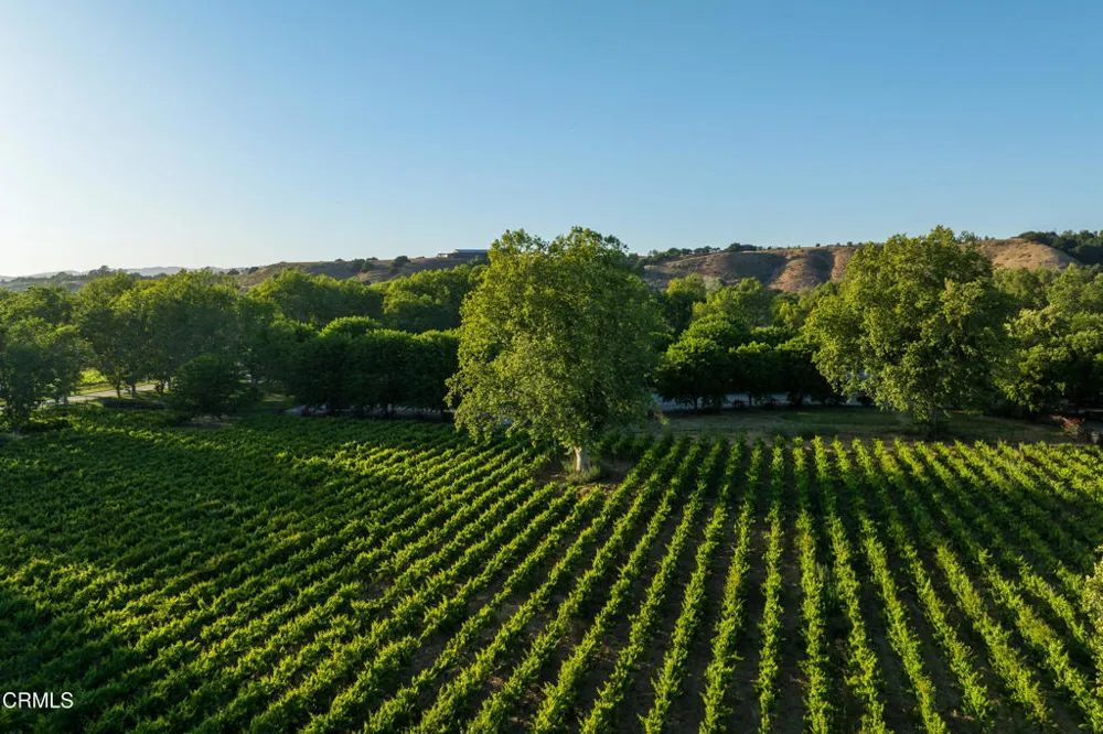 801 E Highway 246 Solvang, CA 93463