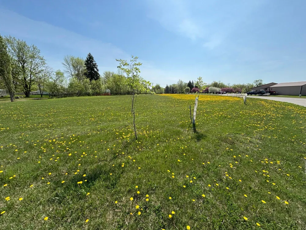 000 First Street E Thief River Falls, MN 56701