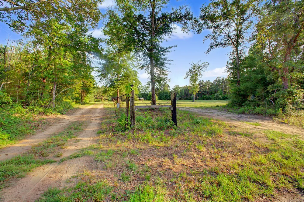 2874 An County Road 335 Palestine, TX 75803