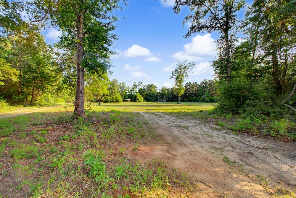 2874 An County Road 335 Palestine, TX 75803
