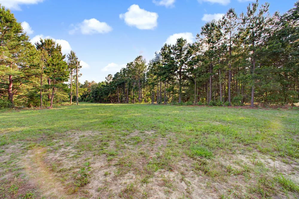 2874 An County Road 335 Palestine, TX 75803