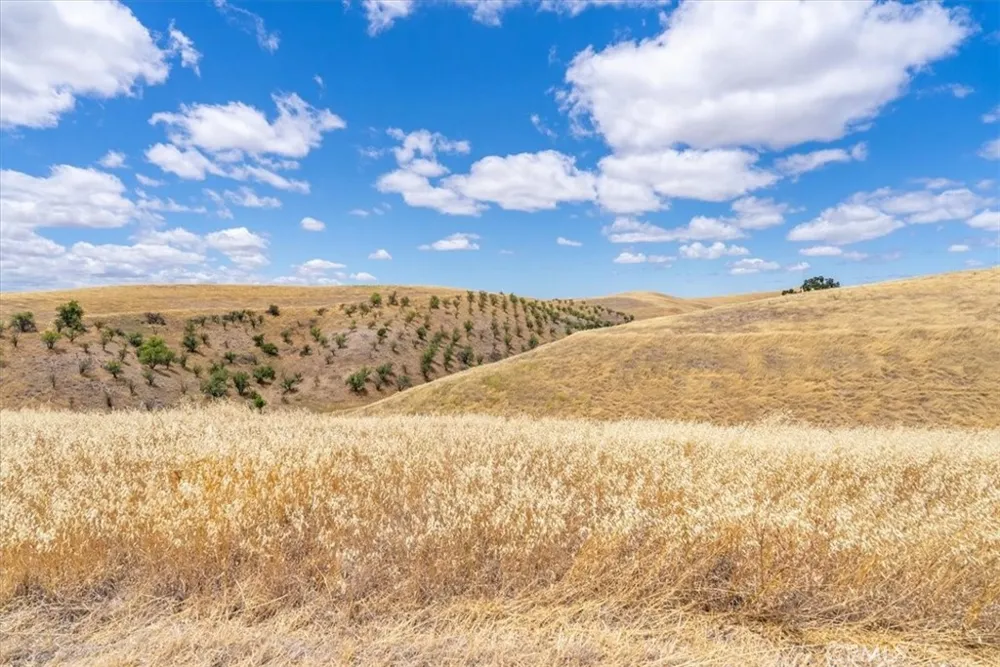 76846 Ranchita Canyon Road San Miguel, CA 93451