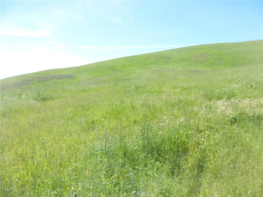 Douglas Rd. (Lot 34) San Miguel, CA 93451