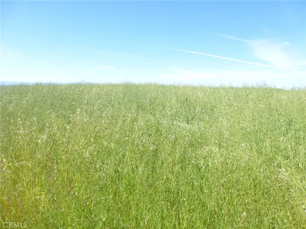 Douglas Rd. (Lot 34) San Miguel, CA 93451