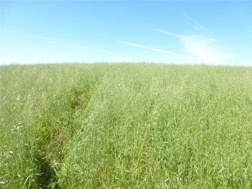 Douglas Rd. (Lot 34) San Miguel, CA 93451