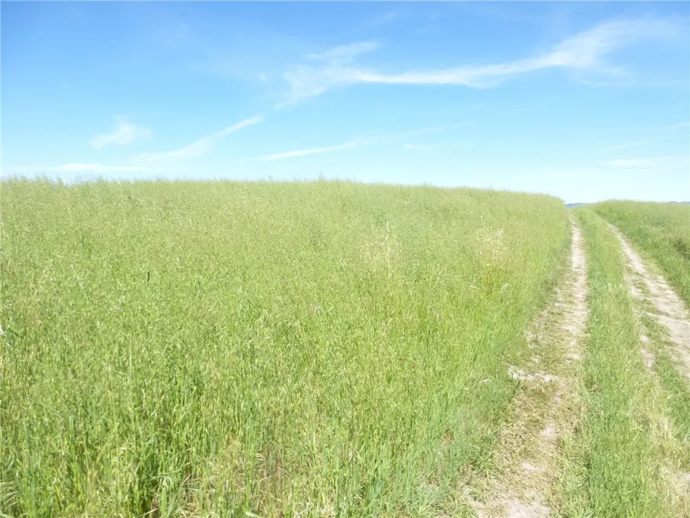 Douglas Rd. (Lot 34) San Miguel, CA 93451