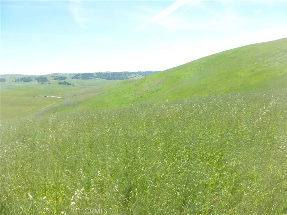 Douglas Rd. (Lot 34) San Miguel, CA 93451