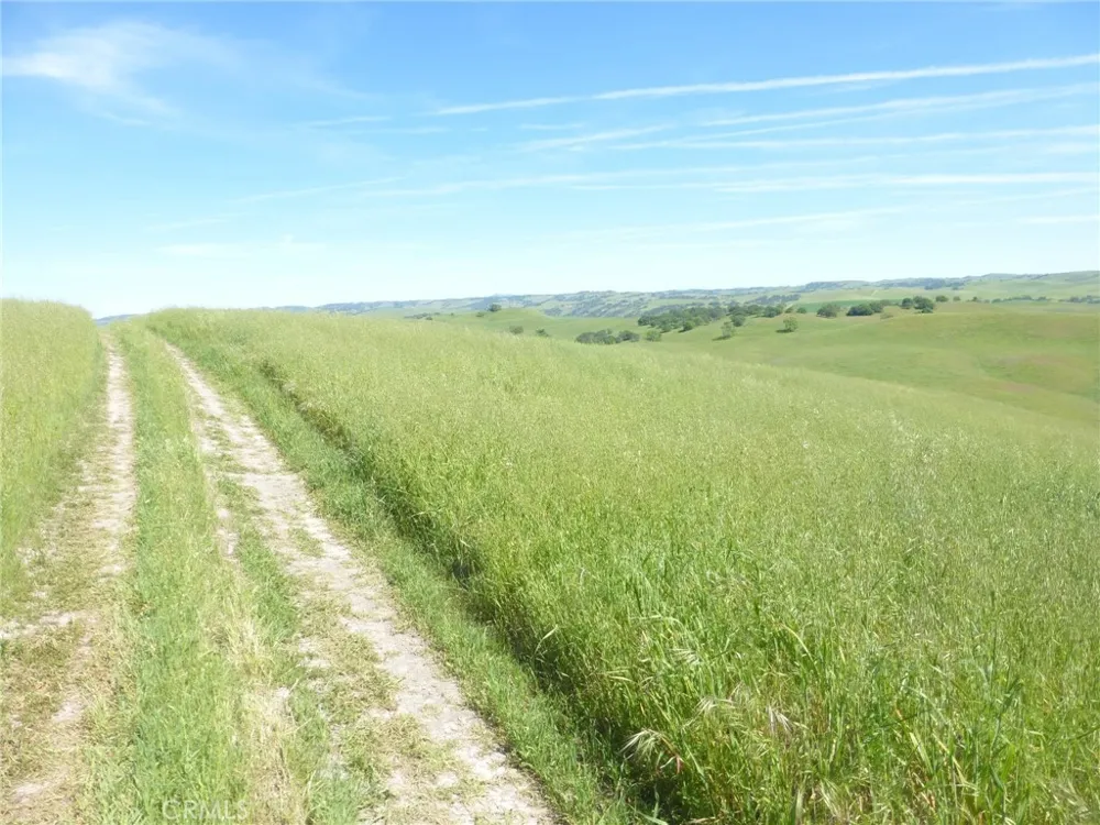 Douglas Rd. (Lot 34) San Miguel, CA 93451