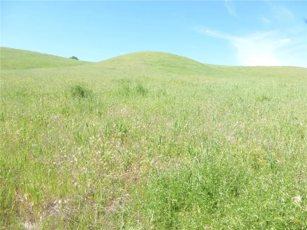 Douglas Rd. (Lot 34) San Miguel, CA 93451