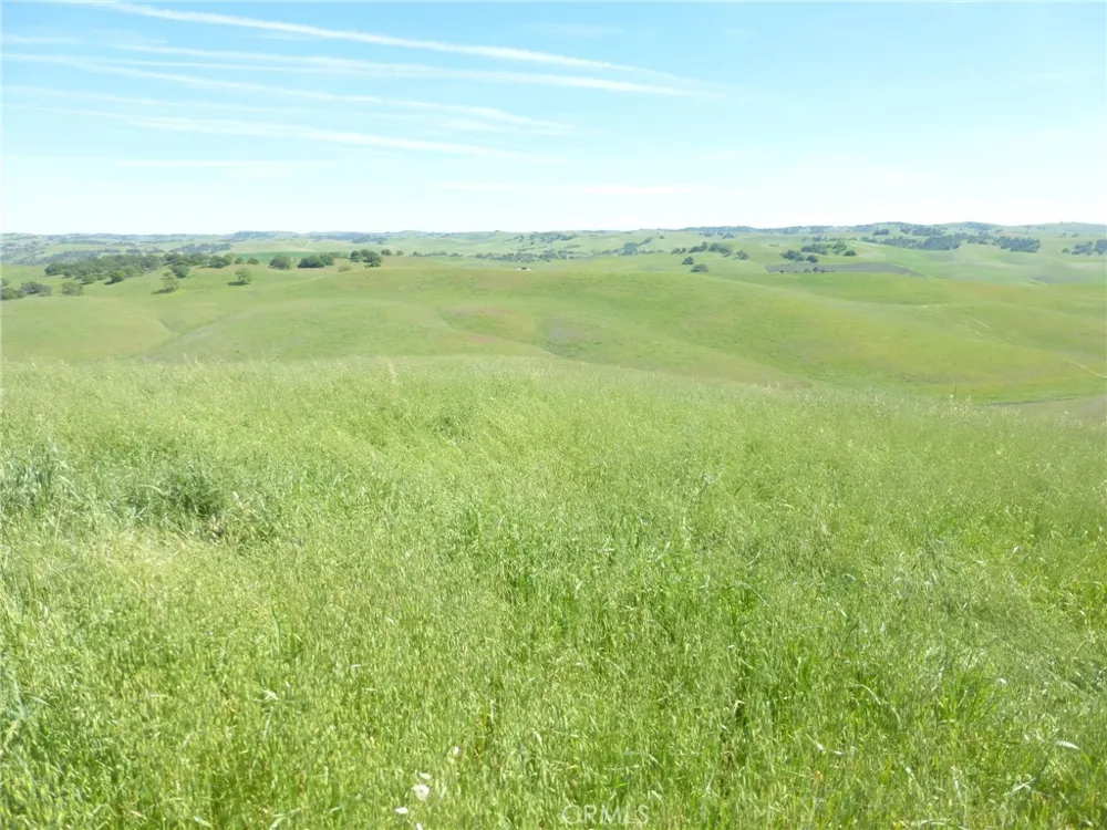 Douglas Rd. (Lot 34) San Miguel, CA 93451