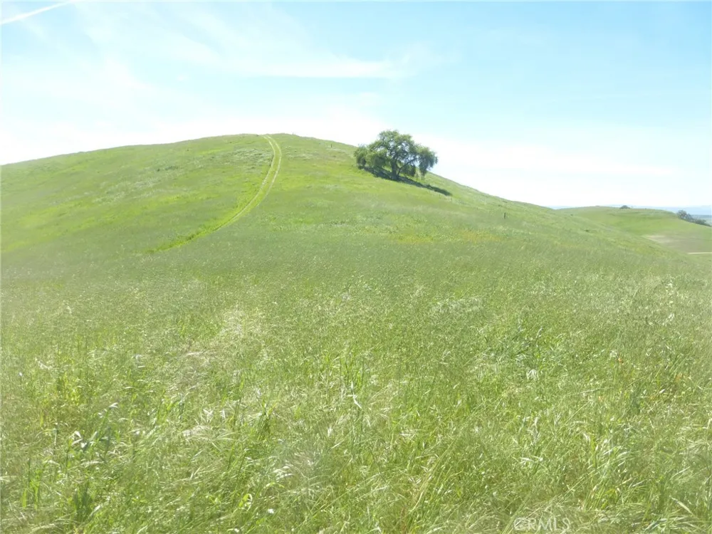 Douglas Rd. (Lot 34) San Miguel, CA 93451