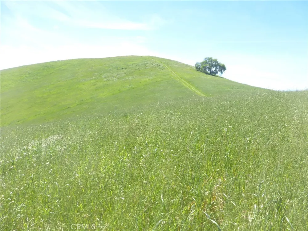 Douglas Rd. (Lot 34) San Miguel, CA 93451