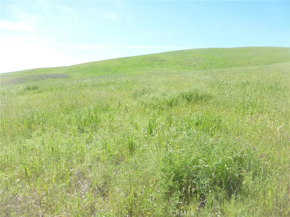 Douglas Rd. (Lot 34) San Miguel, CA 93451