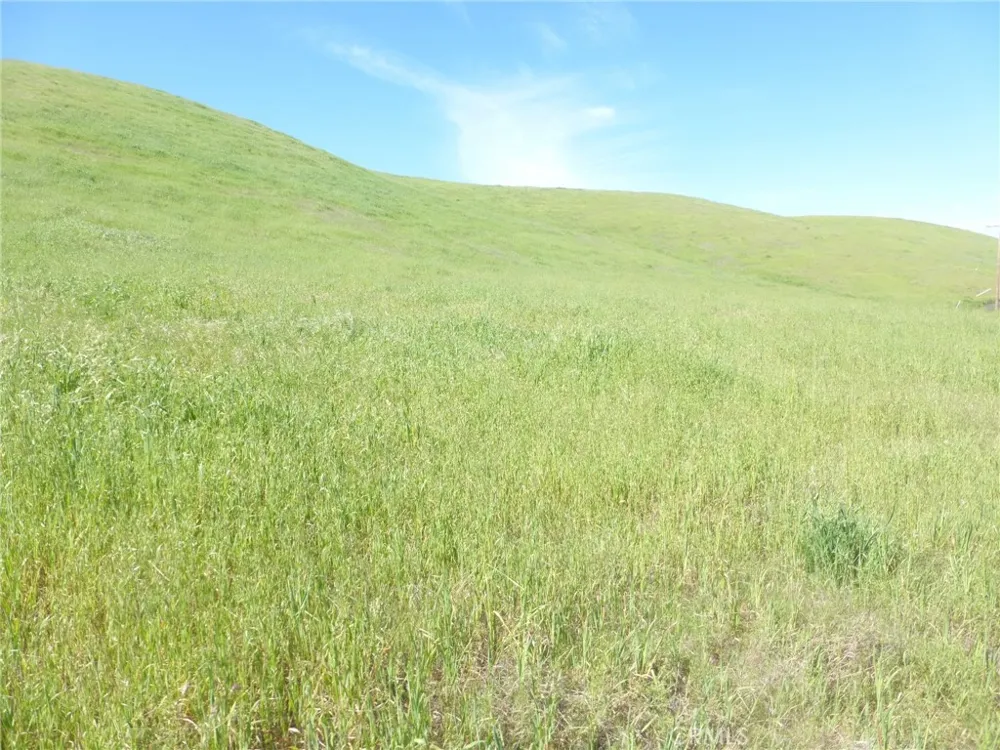 Douglas Rd. (Lot 33) San Miguel, CA 93451