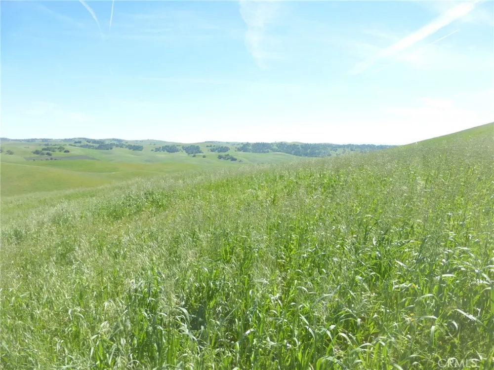 Douglas Rd. (Lot 33) San Miguel, CA 93451