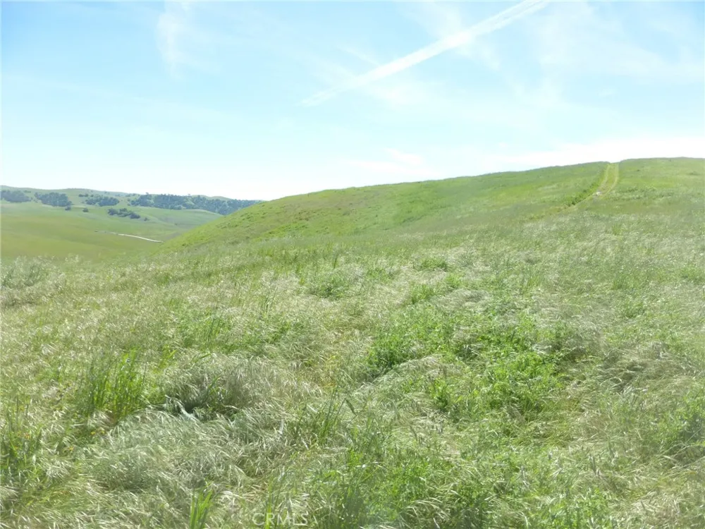 Douglas Rd. (Lot 33) San Miguel, CA 93451