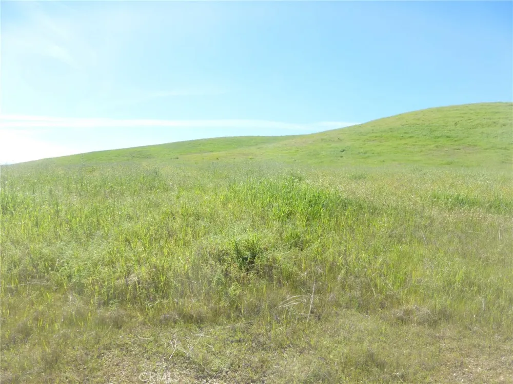 Douglas Rd. (Lot 33) San Miguel, CA 93451