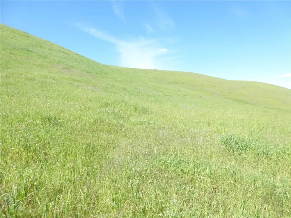 Douglas Rd. (Lot 33) San Miguel, CA 93451