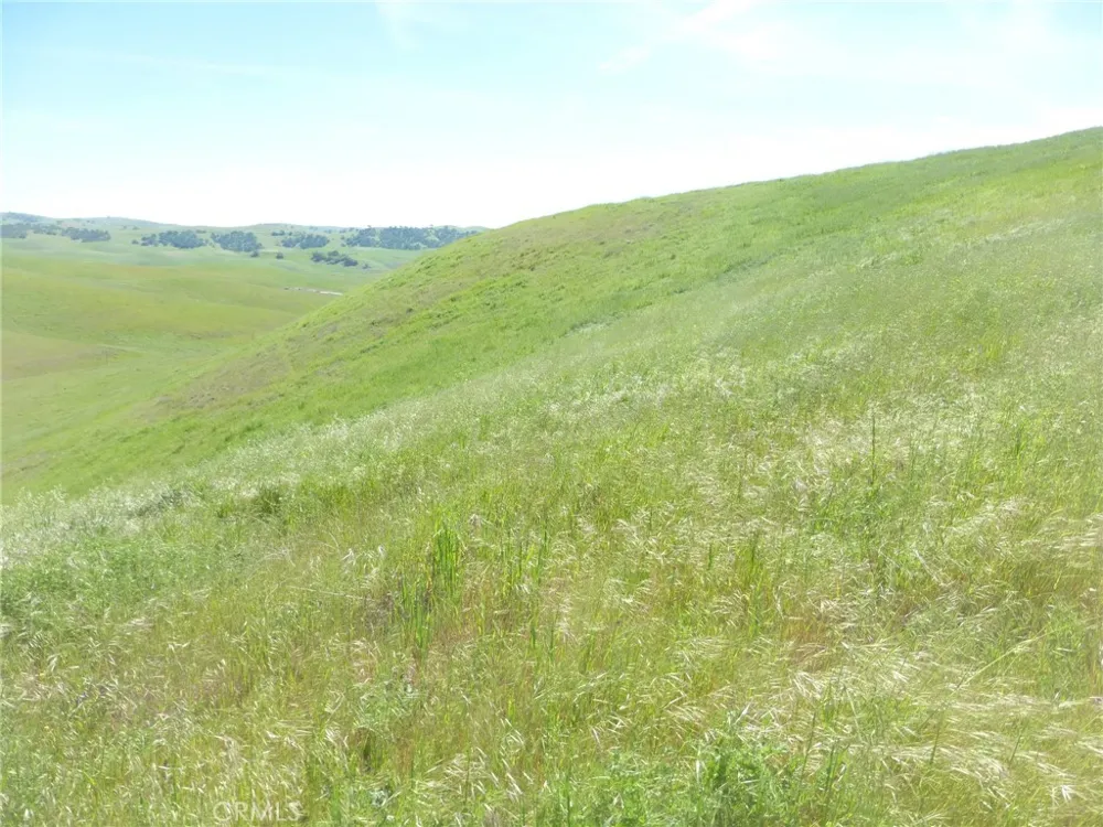 Douglas Rd. (Lot 33) San Miguel, CA 93451