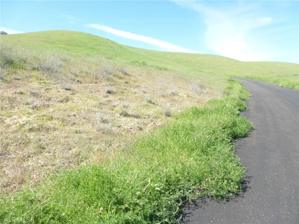 Douglas Rd. (Lot 33) San Miguel, CA 93451