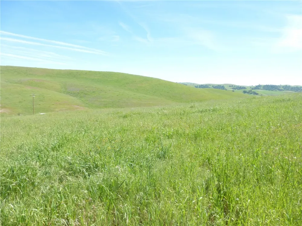 Douglas Rd. (Lot 33) San Miguel, CA 93451