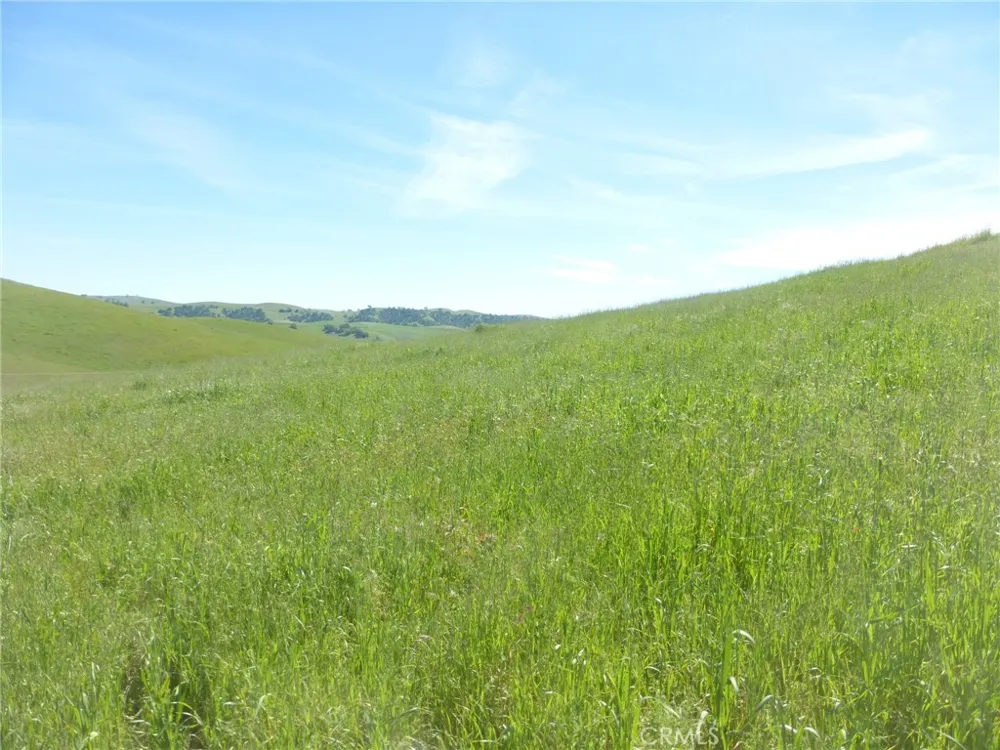 Douglas Rd. (Lot 33) San Miguel, CA 93451