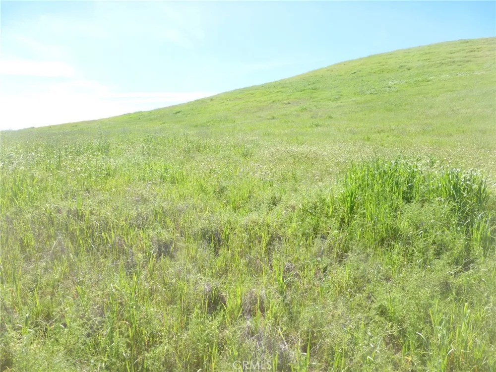 Douglas Rd. (Lot 33) San Miguel, CA 93451