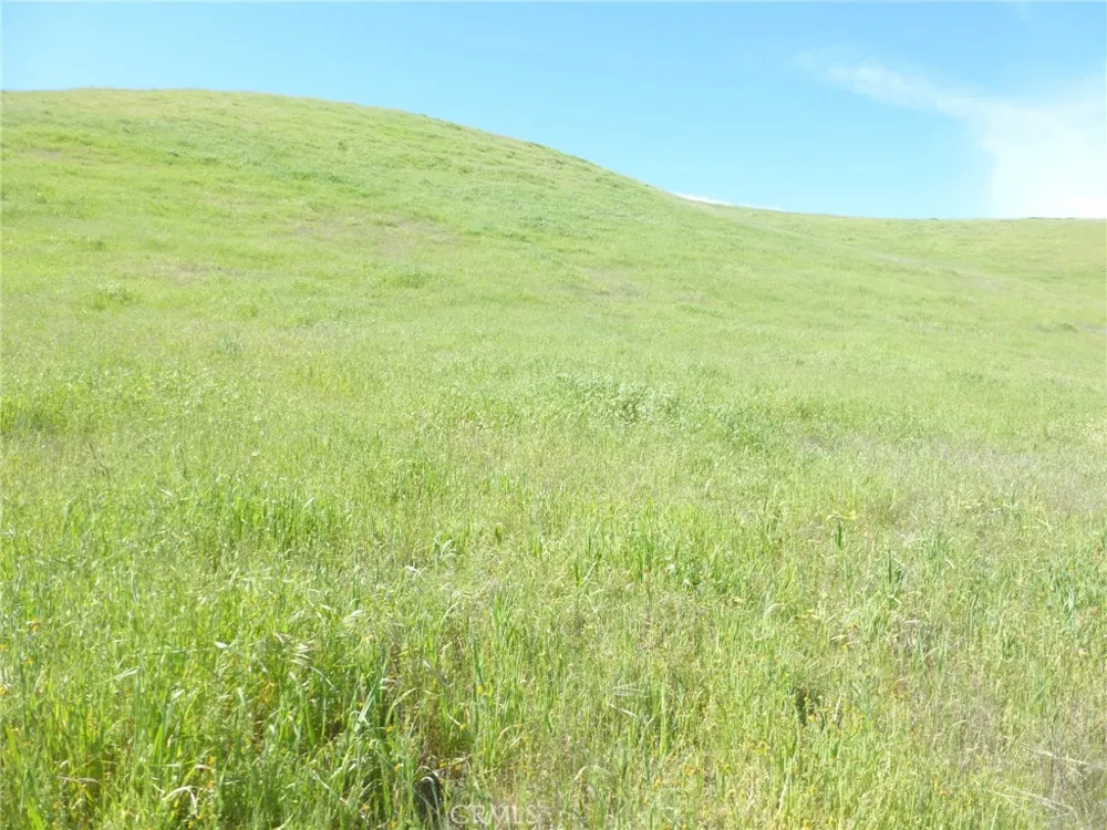 Douglas Rd. (Lot 33) San Miguel, CA 93451