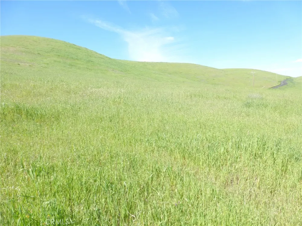 Douglas Rd. (Lot 33) San Miguel, CA 93451
